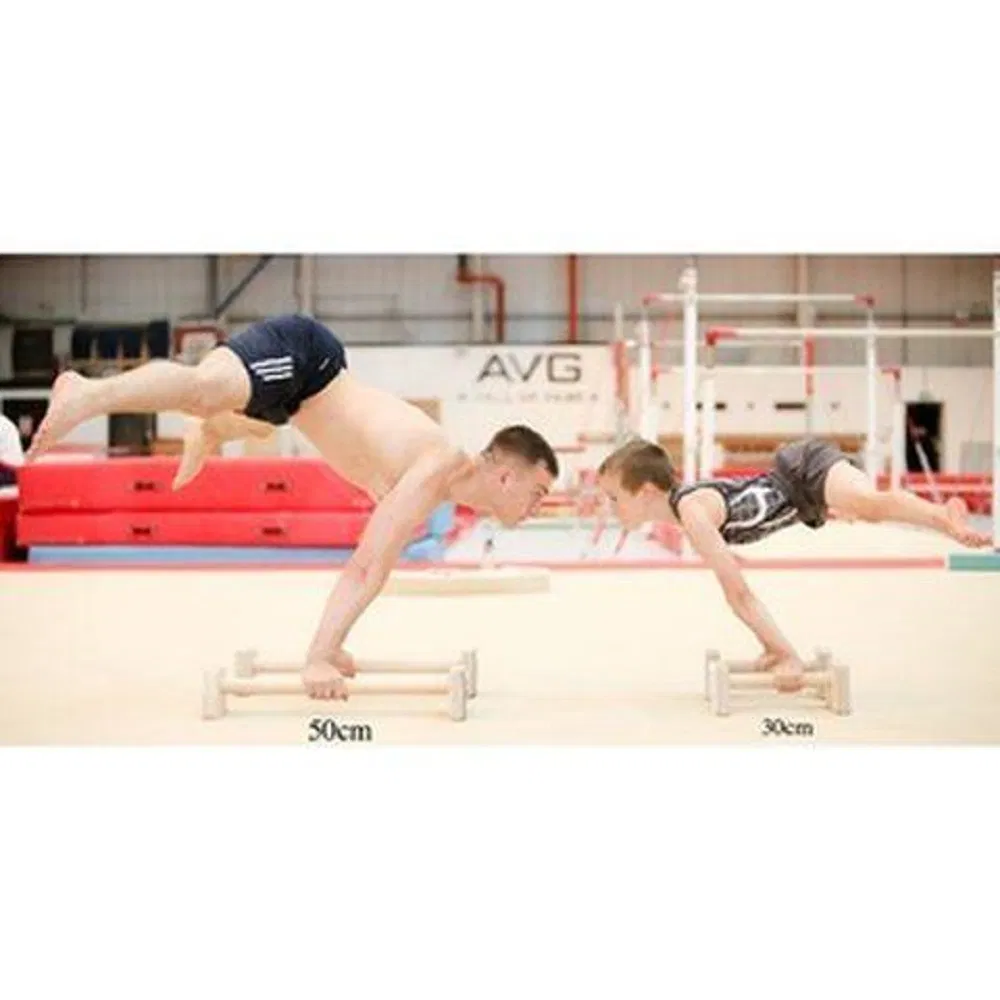 Wholesale Training Men Gymnastics Yoga Fitness Euipment Wooden Push up Bars