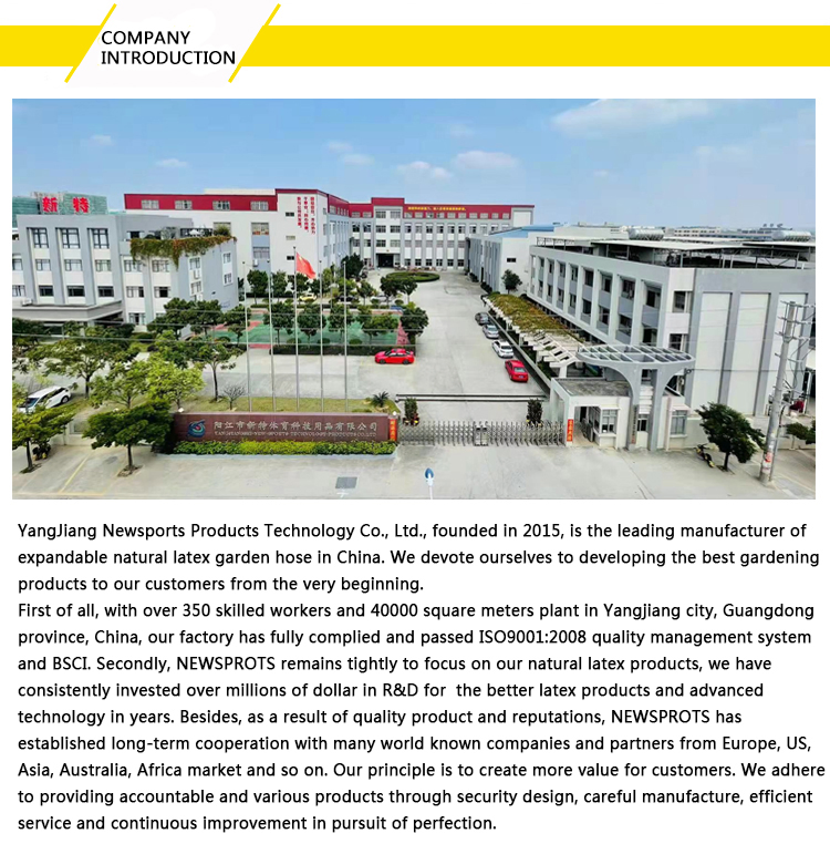 Custom Color 5 Different Levels Resistance Fitness Elastic Bands Set for Yoga Pilates Workout Physiotherapy Strength Training