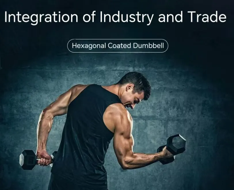 15kg Dumbbells Fitness Equipment