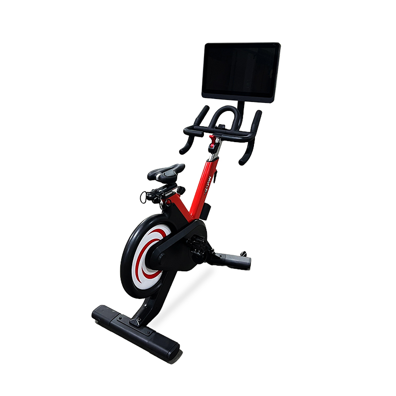 New Style Wnq 21.5 Inch Spinning Exercise Bike