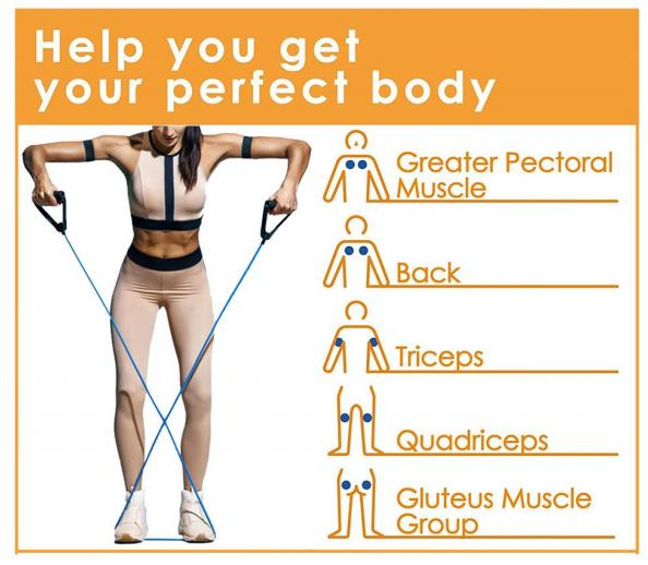 Single Resistance Tubes Exercise Rubber Band with Comfortable Handles