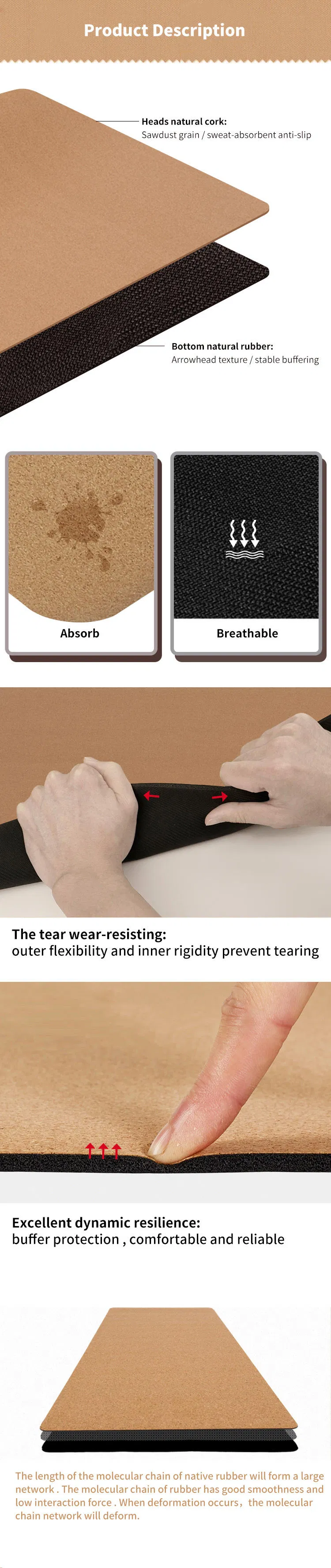 Detailed Feature Infographic