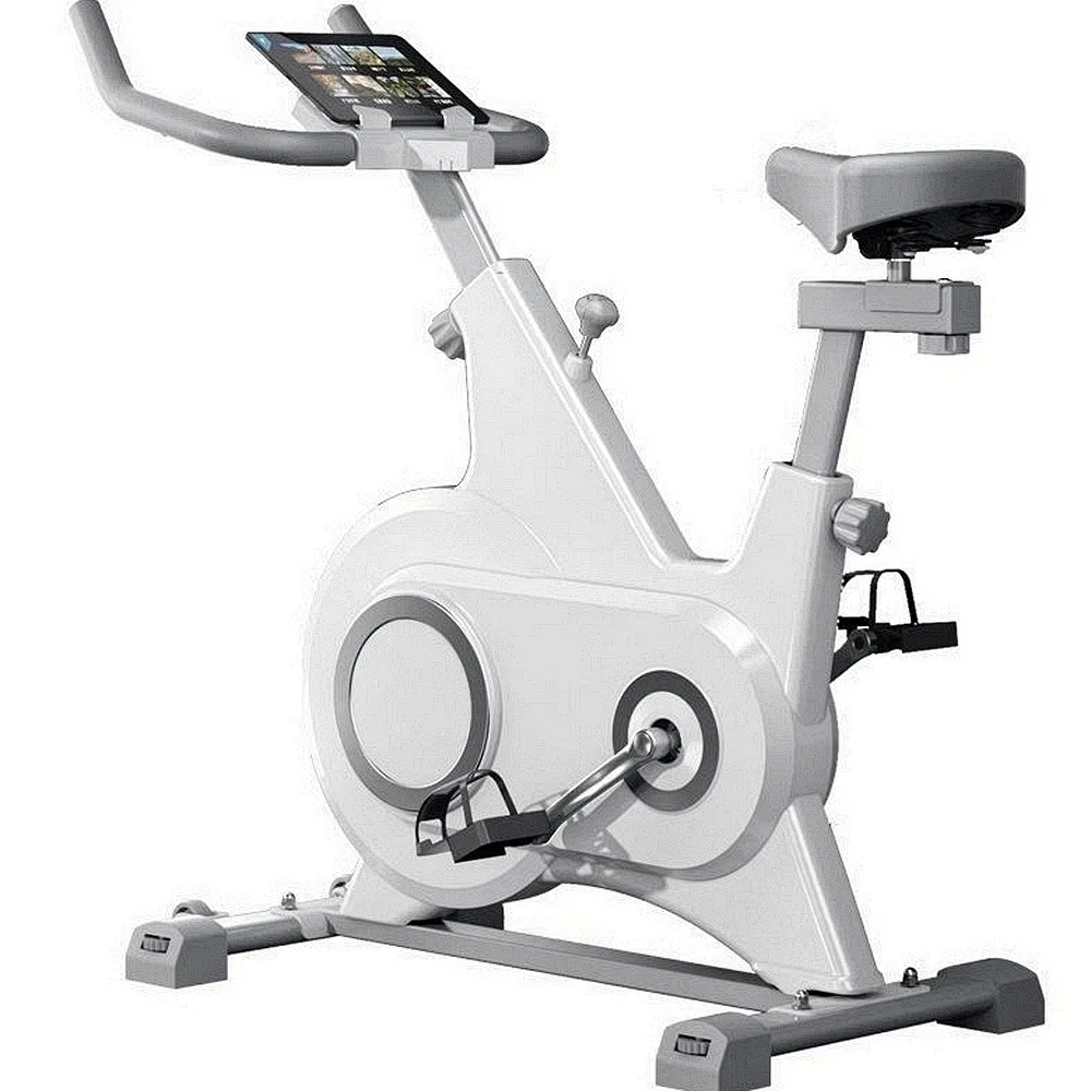 Factory Home Gym Equipment Exercise Training Bike Spinning Bike with Cheap Price