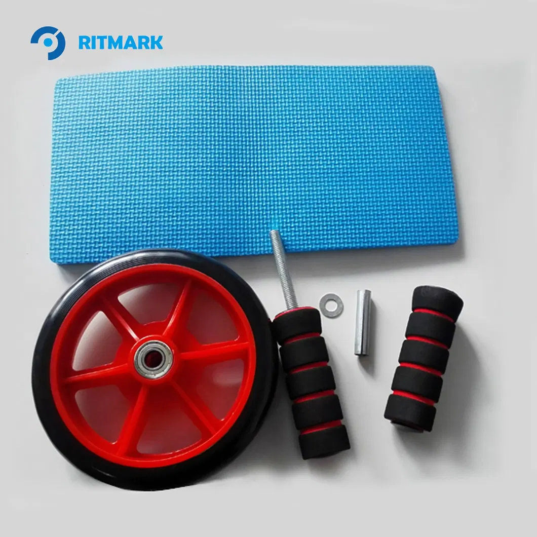 Exercise Wheel View 2