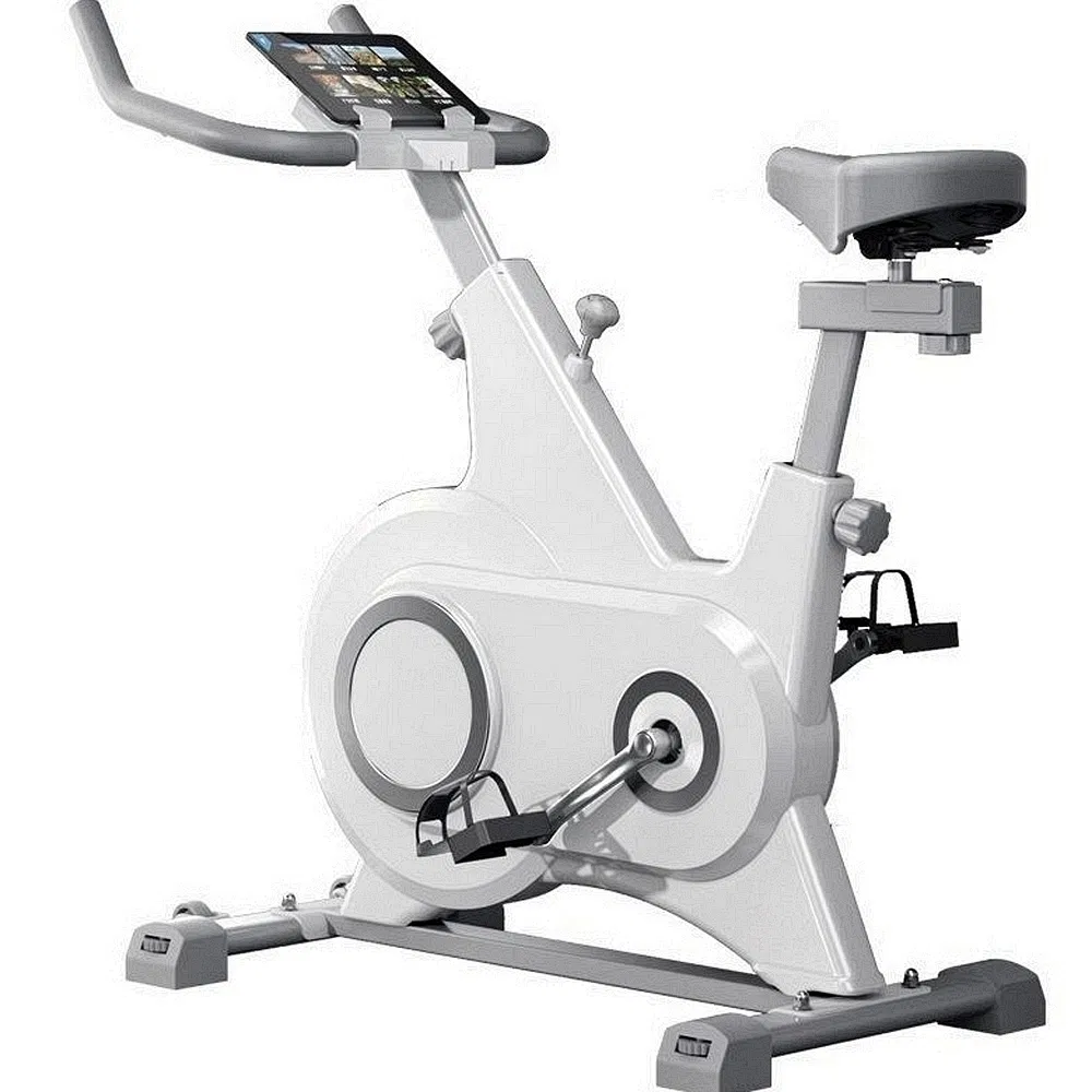 Factory Home Gym Equipment Exercise Training Bike Spinning Bike with Cheap Price