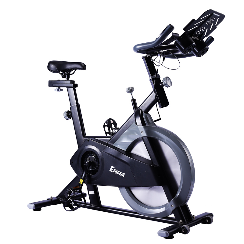 Bicycle Indoor Gym Master Cycle Bike Exercise Trainer100kg Flywheel Spinning Bike for Gym Indoors