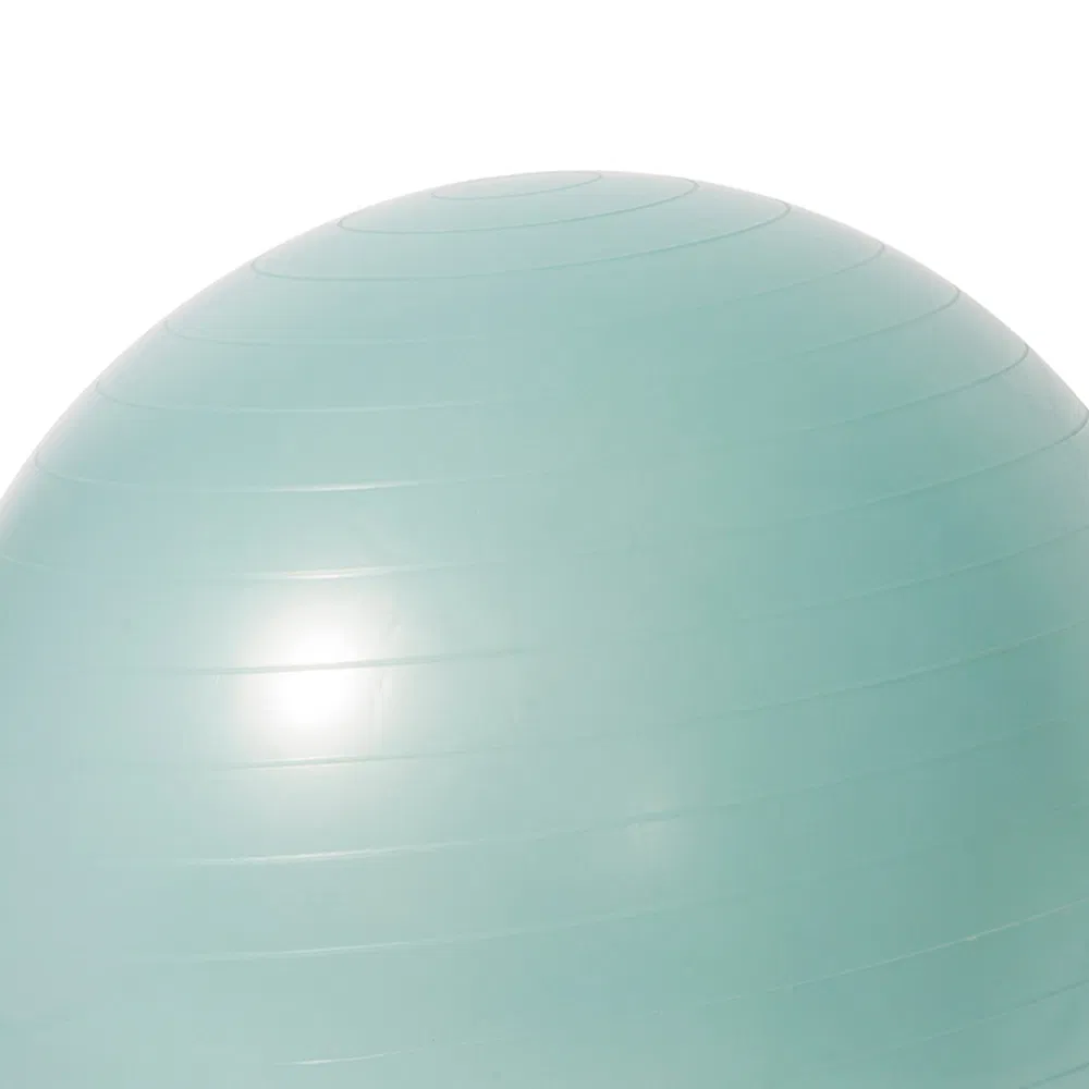 Anti Burst Balance Exercise Ball Gym 55cm Premium Black PVC Yoga Ball