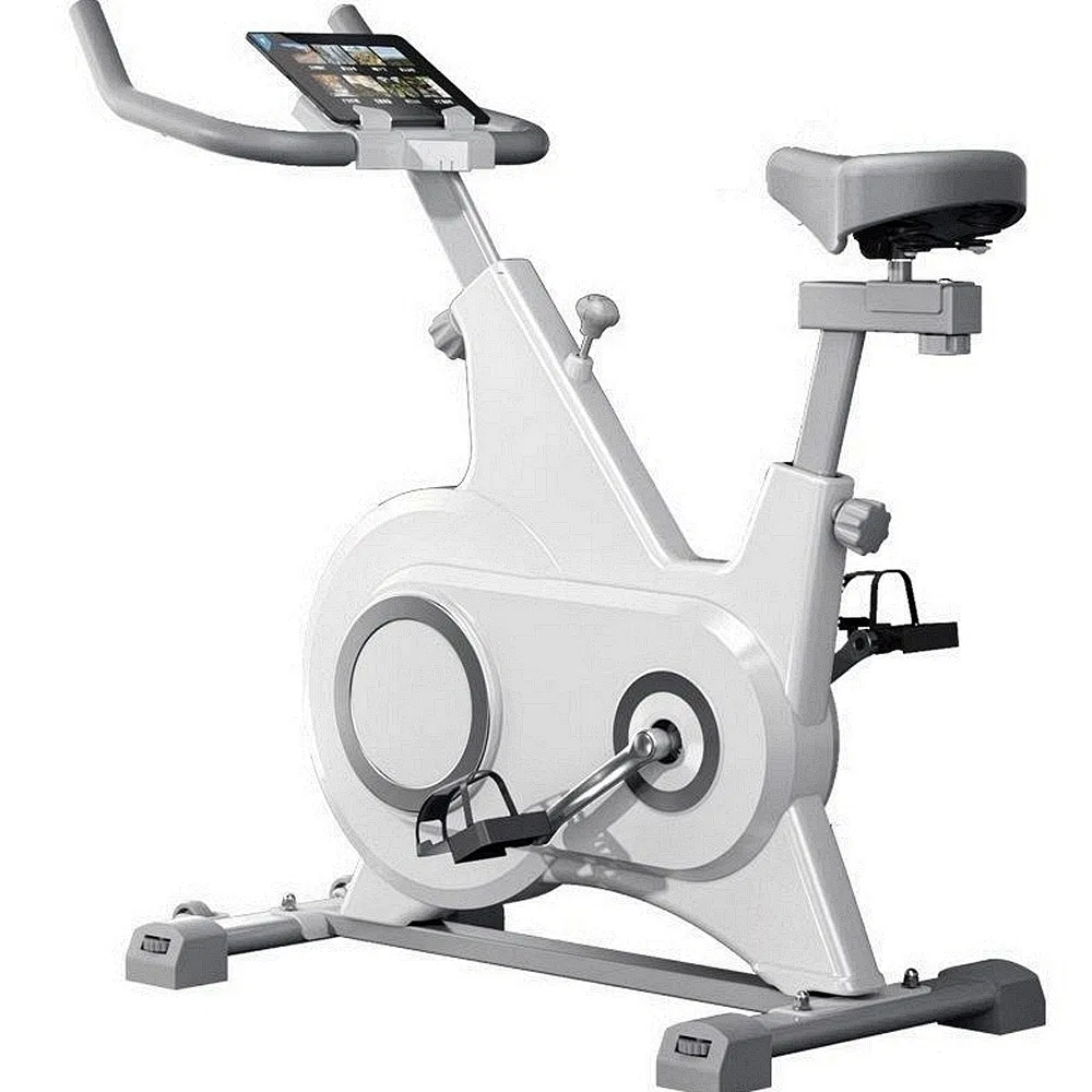 Factory Home Gym Equipment Exercise Training Bike Spinning Bike with Cheap Price