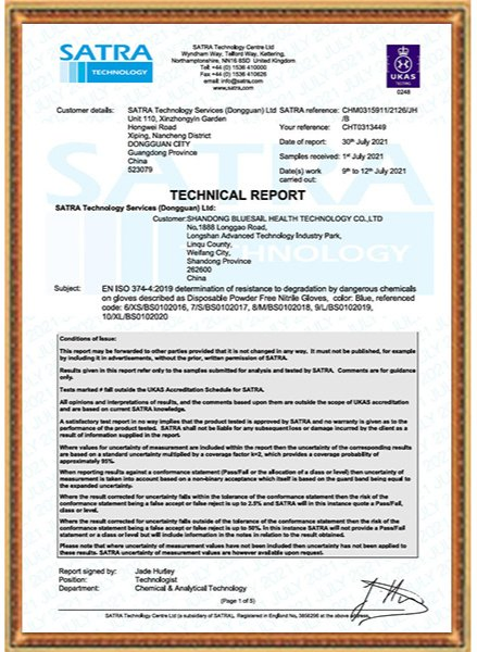 Nitrile Gloves Packing 1