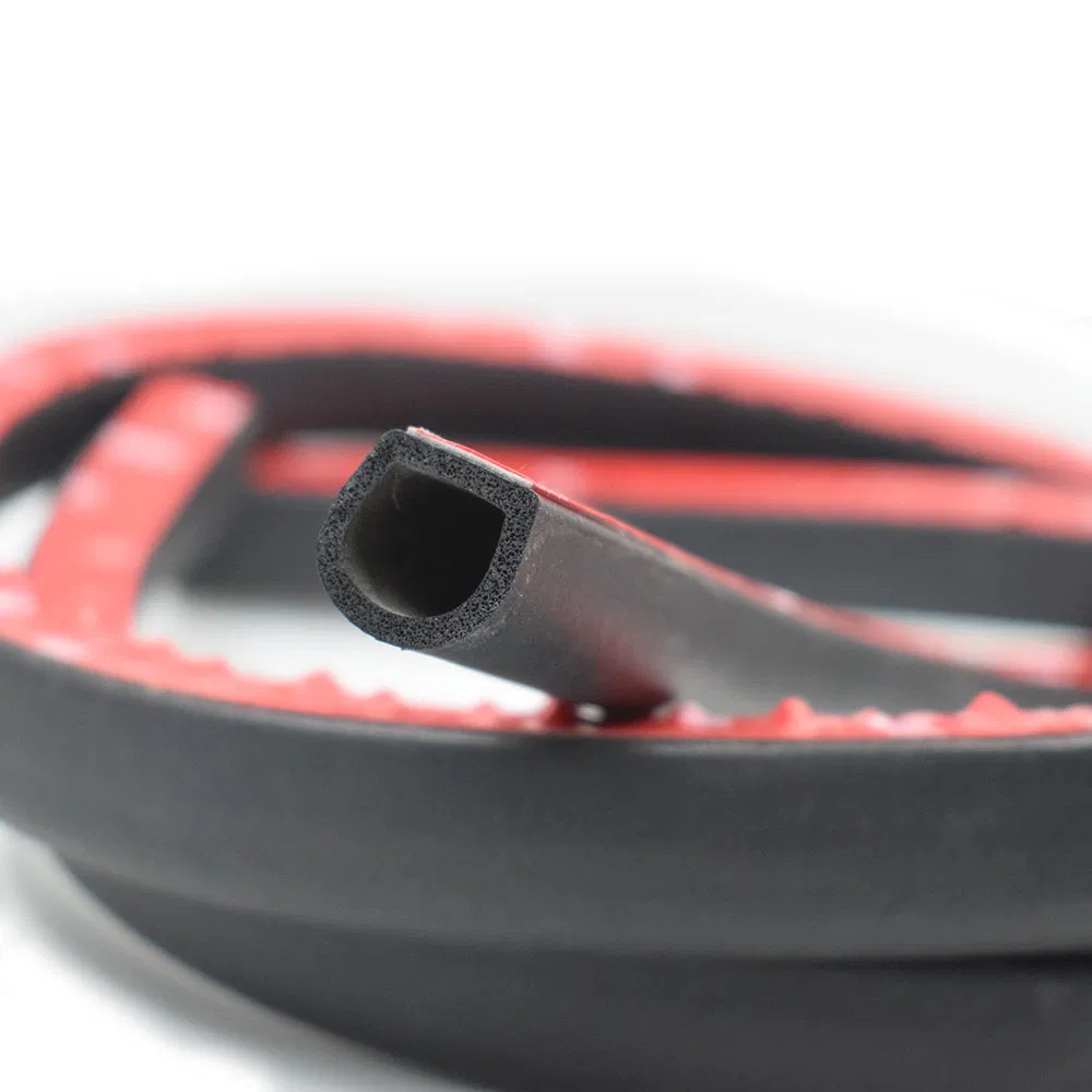 D-Shape Rubber Seal Display 2