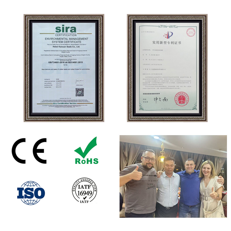 Noise Reduction Dustproof Customized Profiles for Complex Shapes Free Samples CE Certified Automotive EPDM Sealing Strip