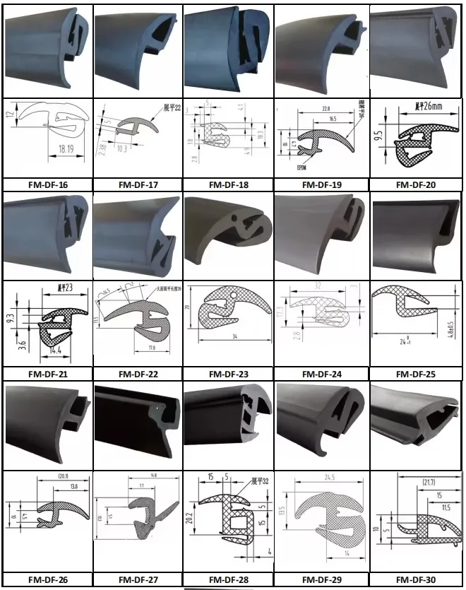 Detailed Seal View 2