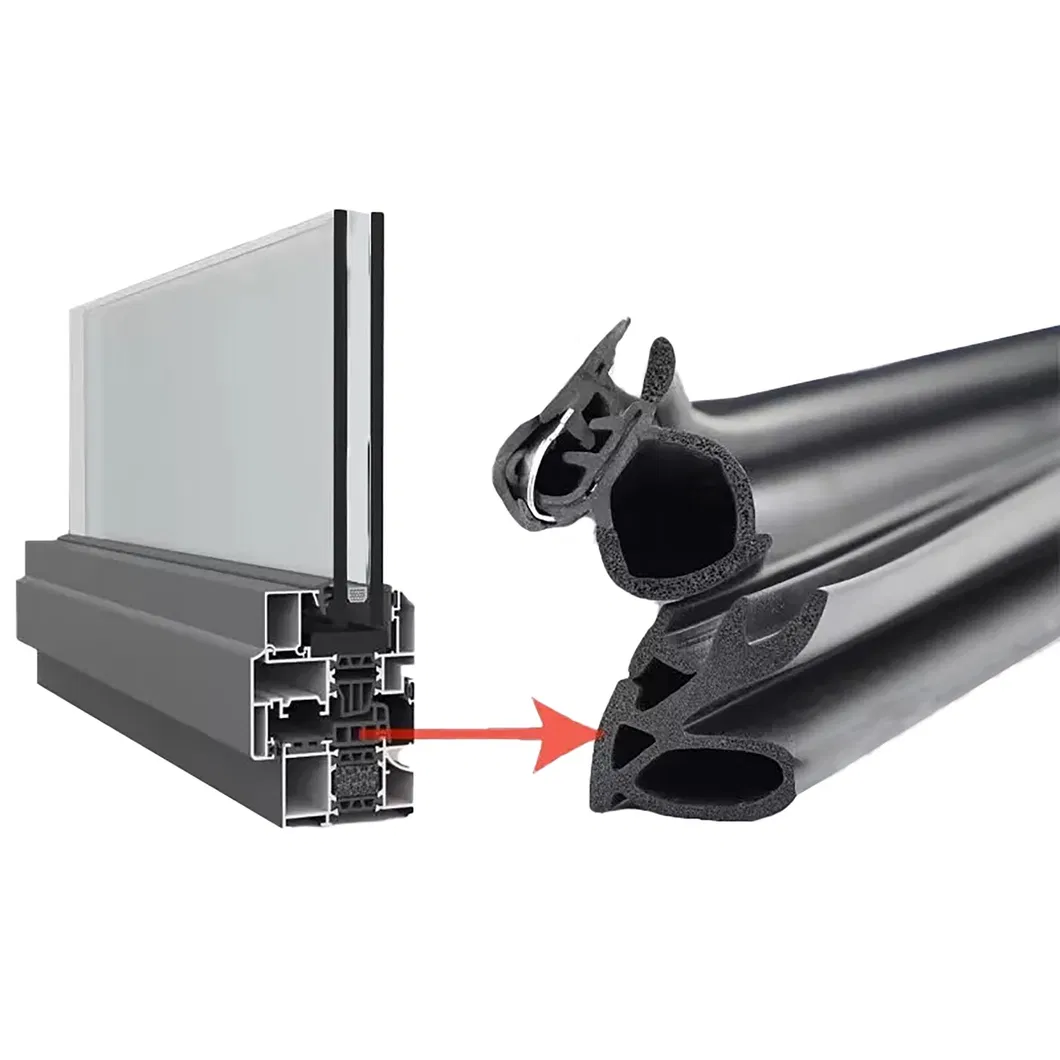 Detailed Seal Strip View 1