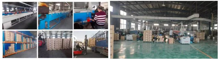 Shipping and Logistics