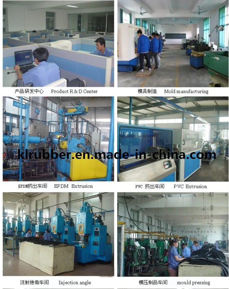 Seal Strip Cross Section