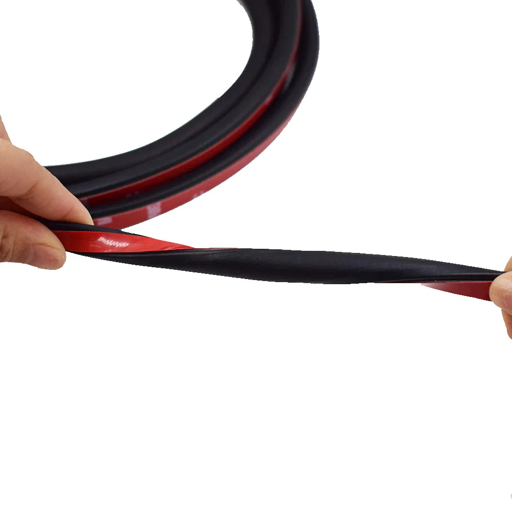 Sealing Strip Display 2