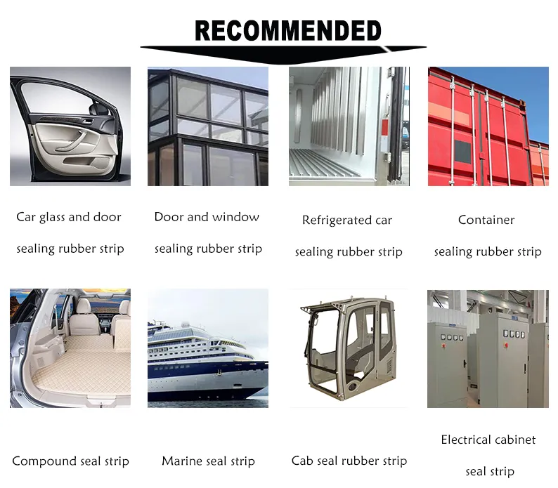 Seal Strip Detailed View