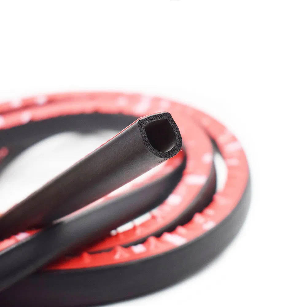 D-Shape Rubber Seal Display 3