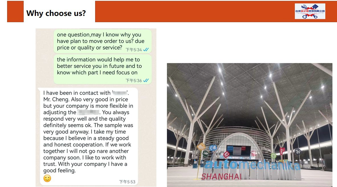 8200267625 8200253037 Renault Kangoo Clio II Express Auto Part Engine Mount