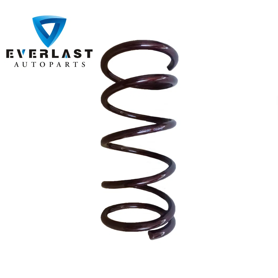 Coil Spring Detail 1