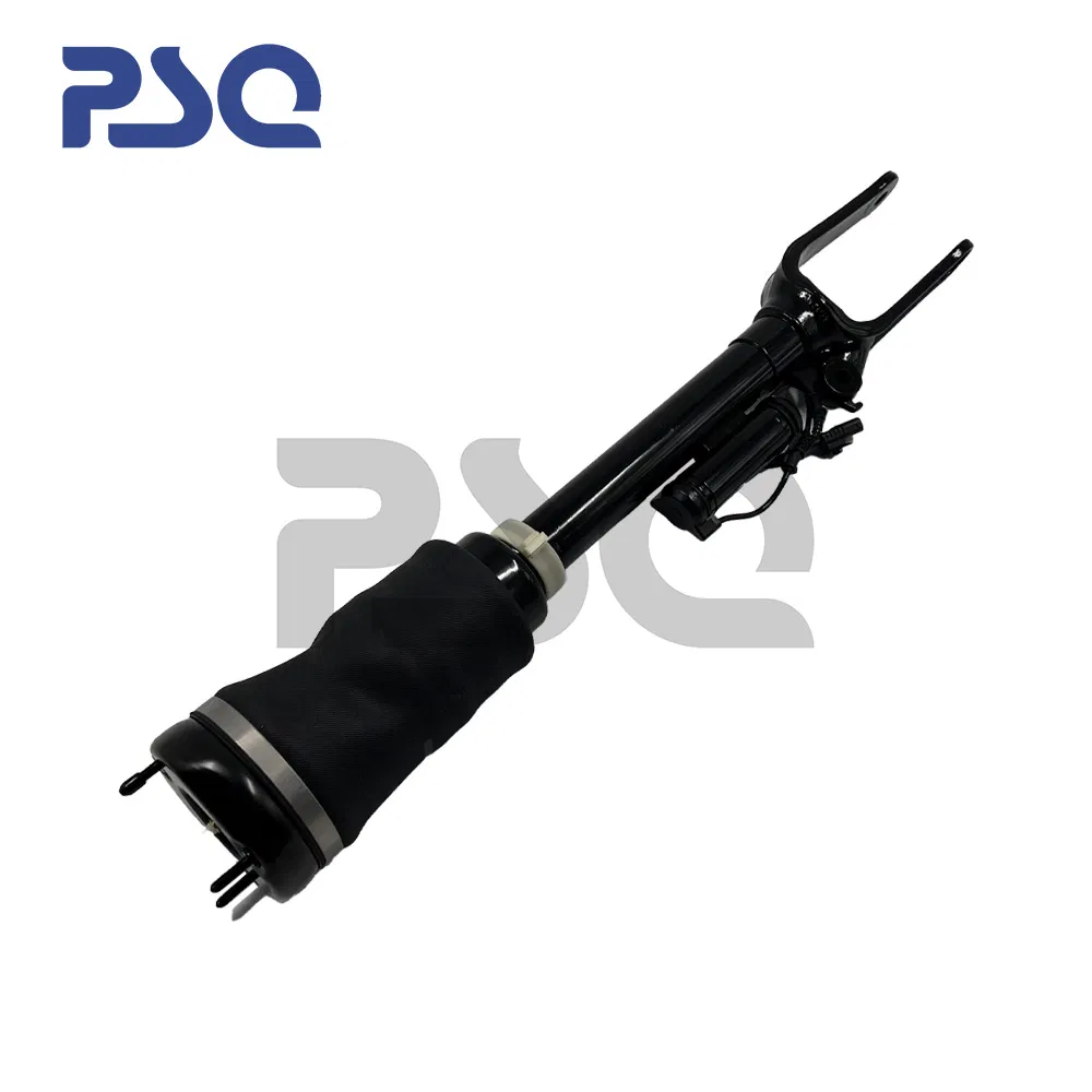 Front Air Suspension Detail 1