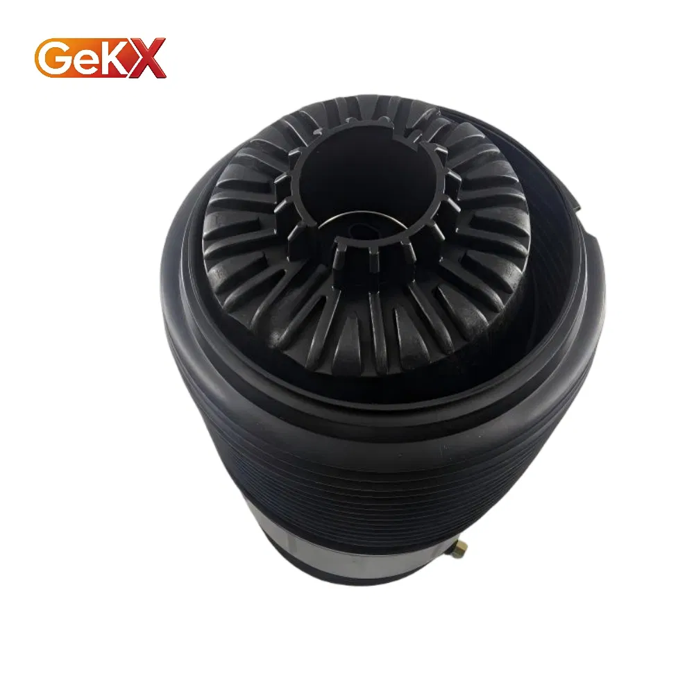 Auto Parts Suspension System Replacements Premium Air Suspension Spring for Porsche 971 Models - 971616025e / 971616026e