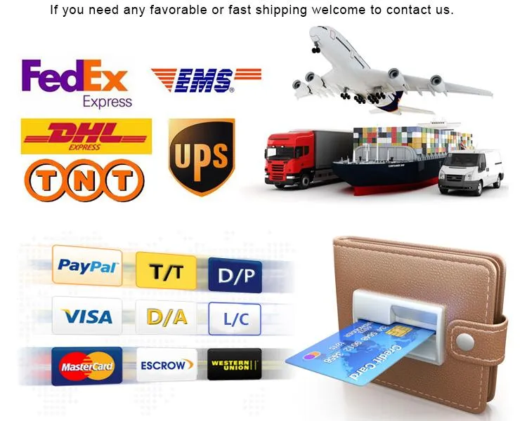 Shipment and Payment