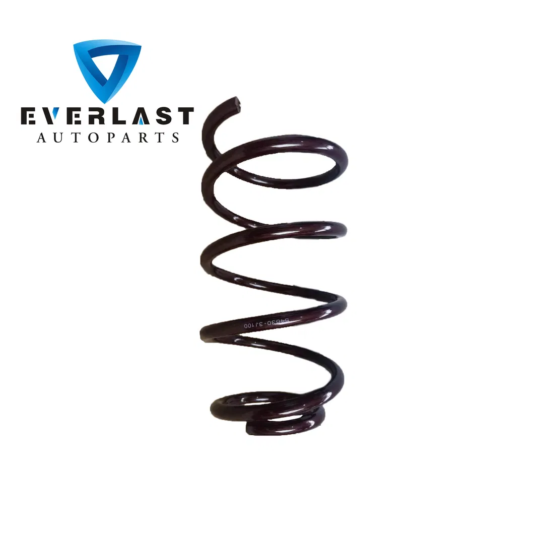 Coil Spring Detail 2