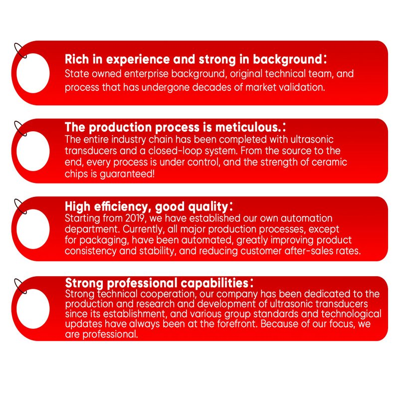 High Temperature Resistant Vibration Resistant Piezoelectric Ceramic Components