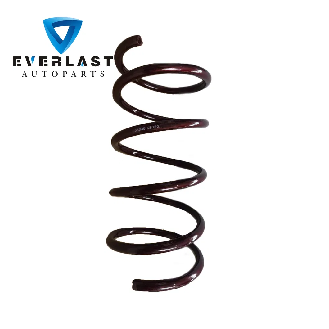 Coil Spring Detail 3