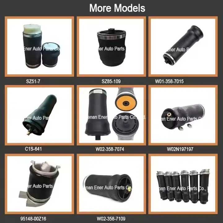 Cabin Air Spring 41015530