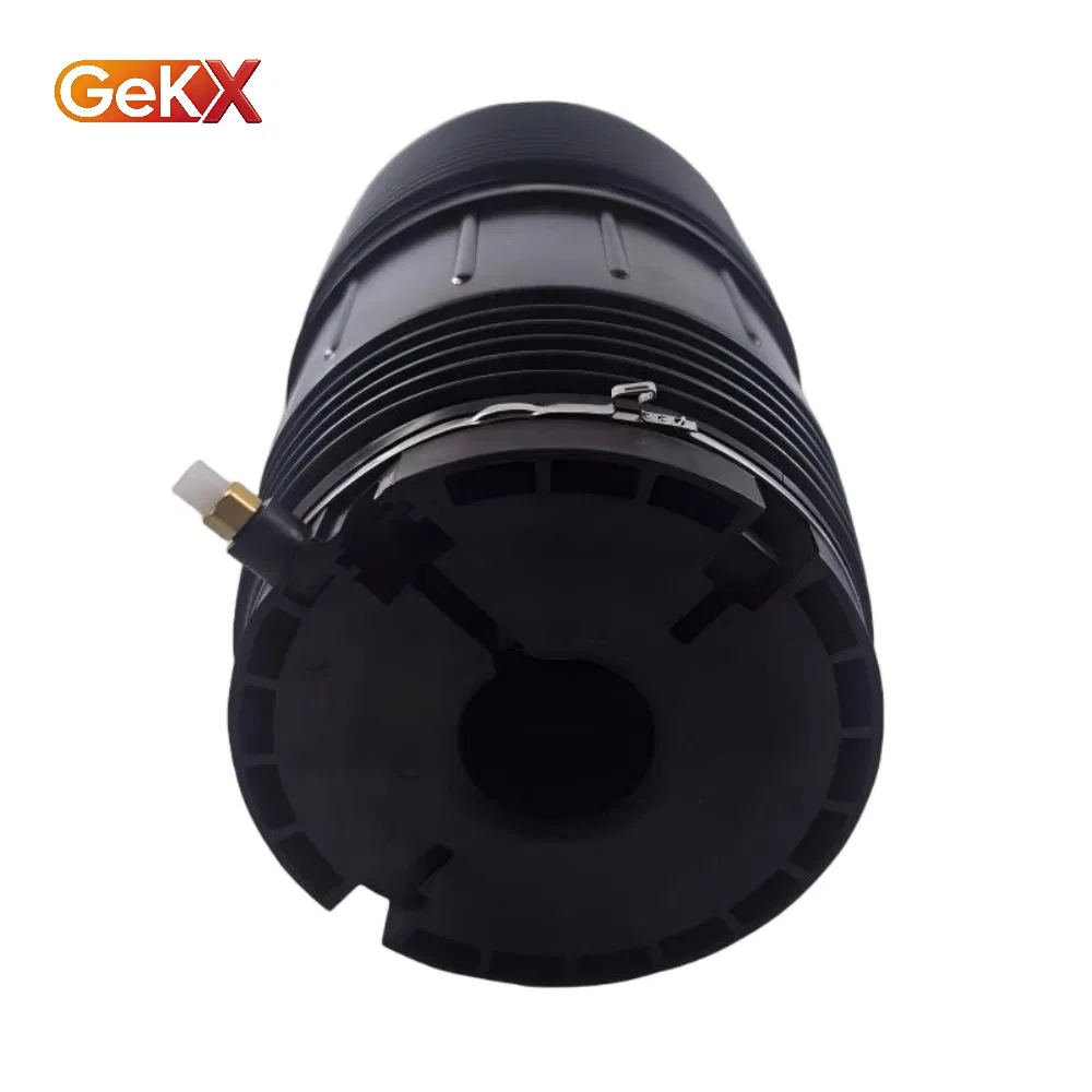 Auto Parts Suspension System Replacements Premium Air Suspension Spring for Porsche 971 Models - 971616025e / 971616026e