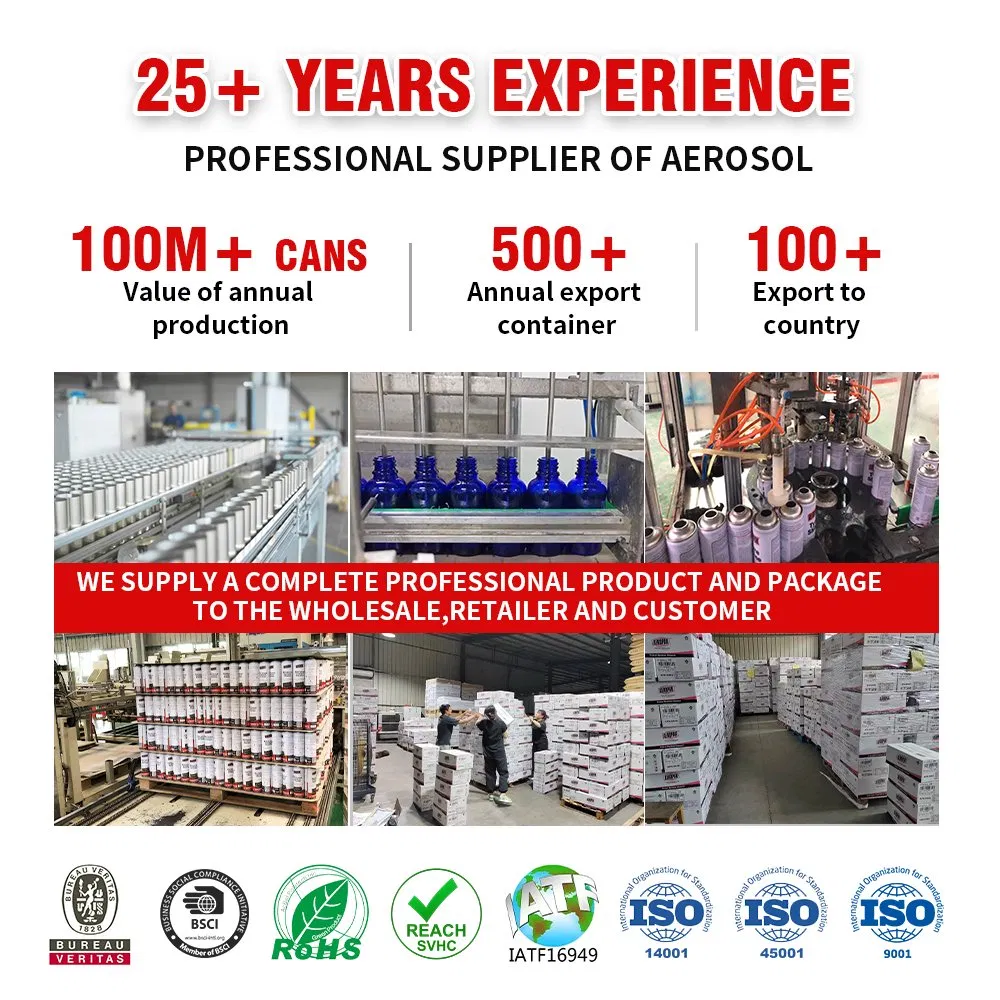 Aeropak 120ml Bottle Rapidly Dissolve Carbon Deposits Petrol System Sediment Dissolver Removes Carbon and Protects System