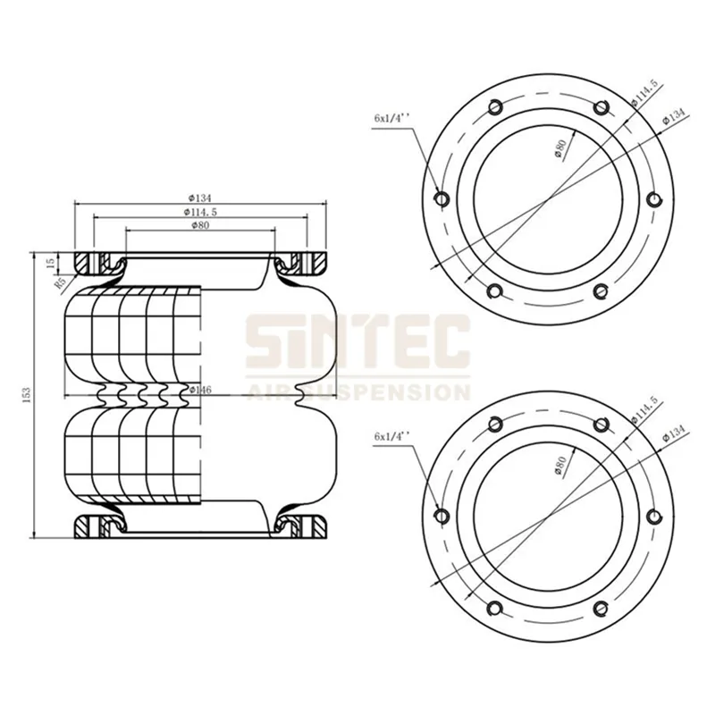 Air Ride Suspension Bag 1