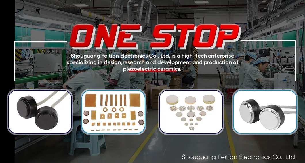 Piezoelectric Ceramic Components