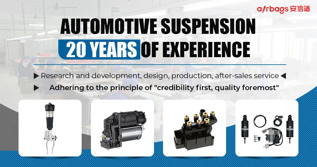 Air Strut Suspension System