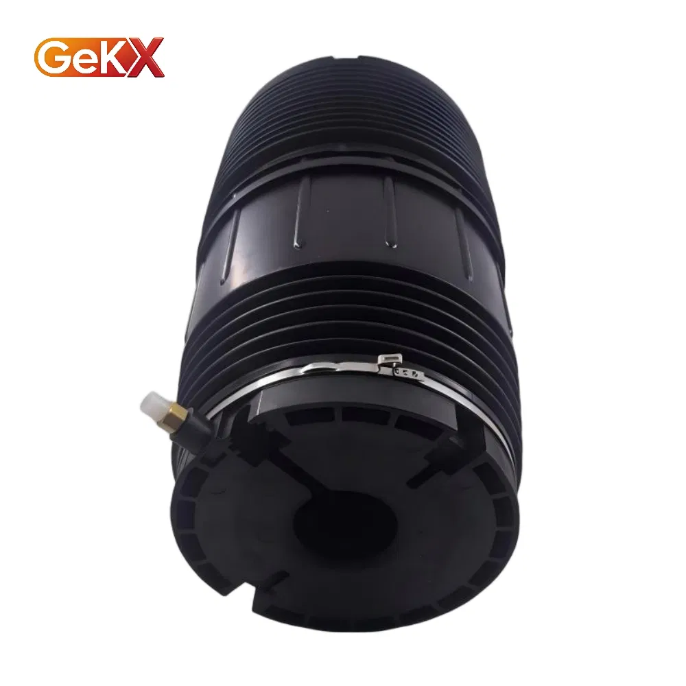 Auto Parts Suspension System Replacements Premium Air Suspension Spring for Porsche 971 Models - 971616025e / 971616026e