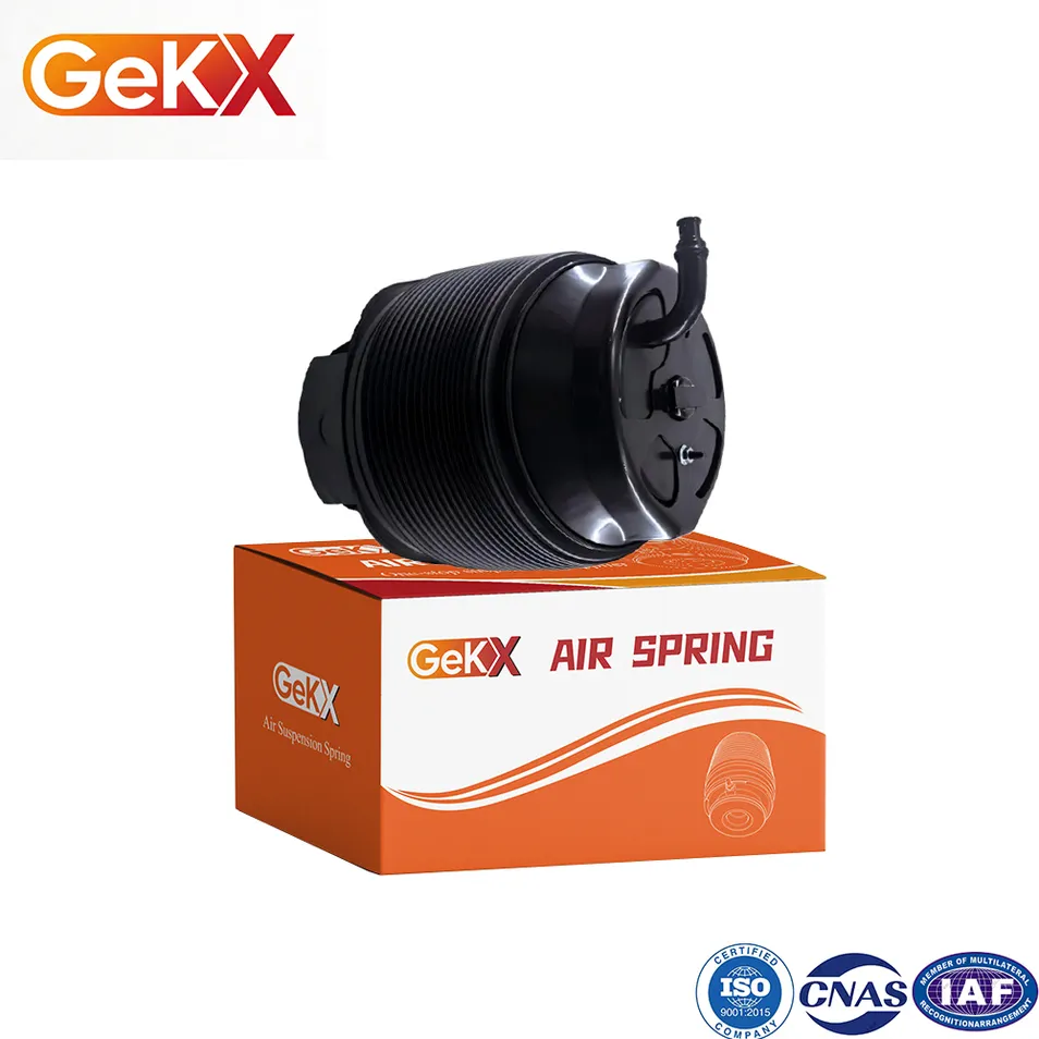 Air Spring Close up 1