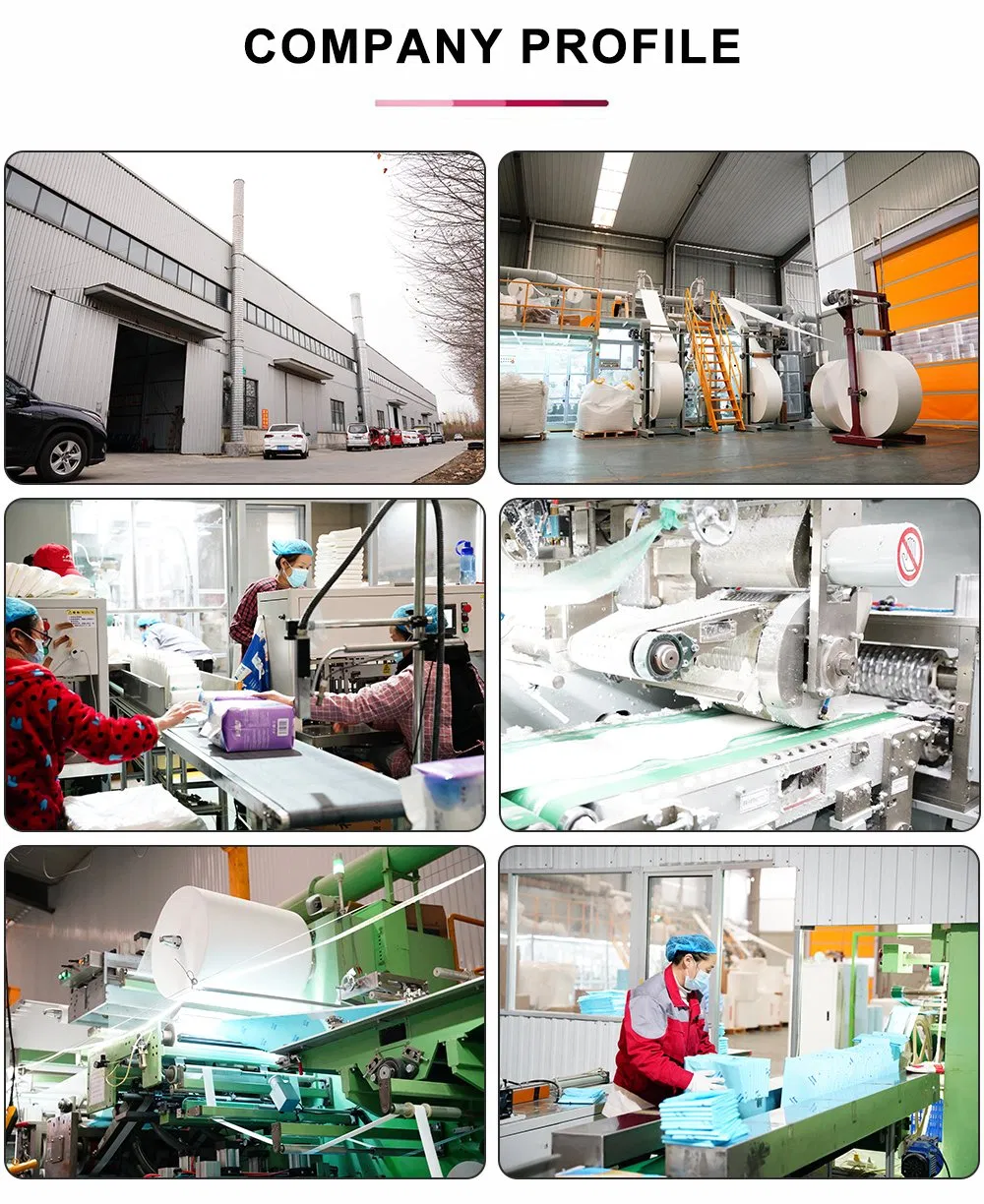Entorno de producción e instalaciones de fabricación de la empresa