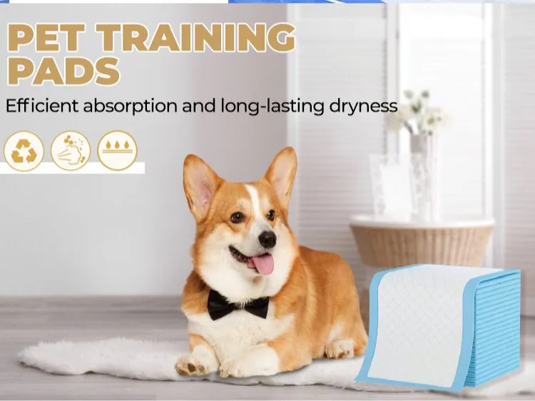 Alfombrillas desechables para perros y cachorros PEE Wee impermeables para entrenamiento