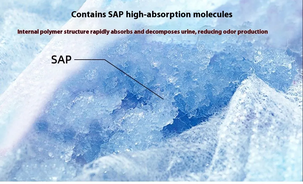 Estructura de absorción