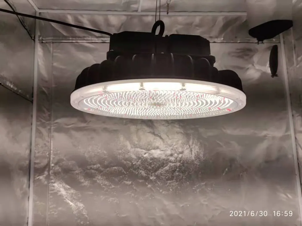 Detalhe LED 7