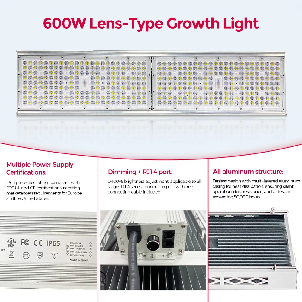 Luz de Cultivo LED de Grau Comercial 600W, Luz de Espectro Completo de Alta Ppfd para Estufa Hidropônica