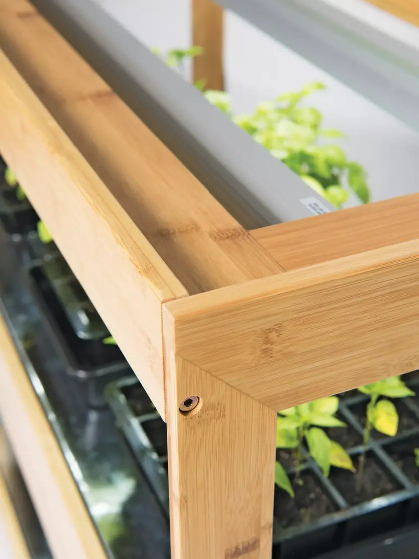 Luz de Crescimento LED de Bambu Ecológico para Suculentas Internas