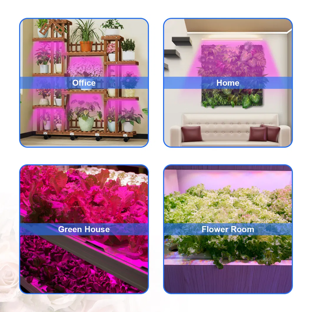 Tiras de Luz de Crescimento para Plantas Vermelha e Azul com Temporizador Lâmpada de Crescimento Semelhante ao Sol para Hidroponia Suculenta, 2 Barras, 4 Barras, 6 Barras