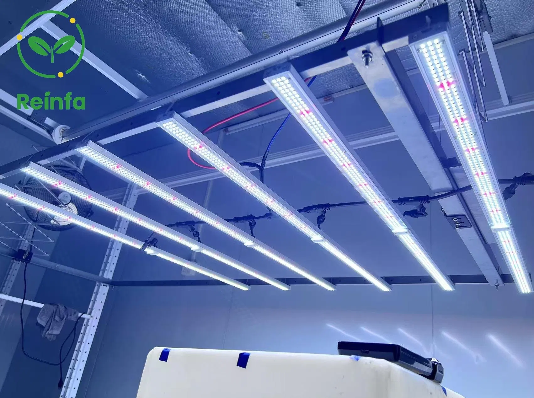 Luz de Cultivo LED de Espectro Completo Dimerizável 650W para Jardim Interno e Fazenda Comercial