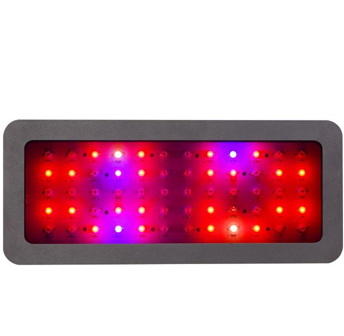 Lâmpada de Cultivo LED Dragão Brilhante, Vendedor Top da Amazon, Luz de Crescimento em Espectro Completo, Lâmpada de Cultivo LED com Duplo Interruptor