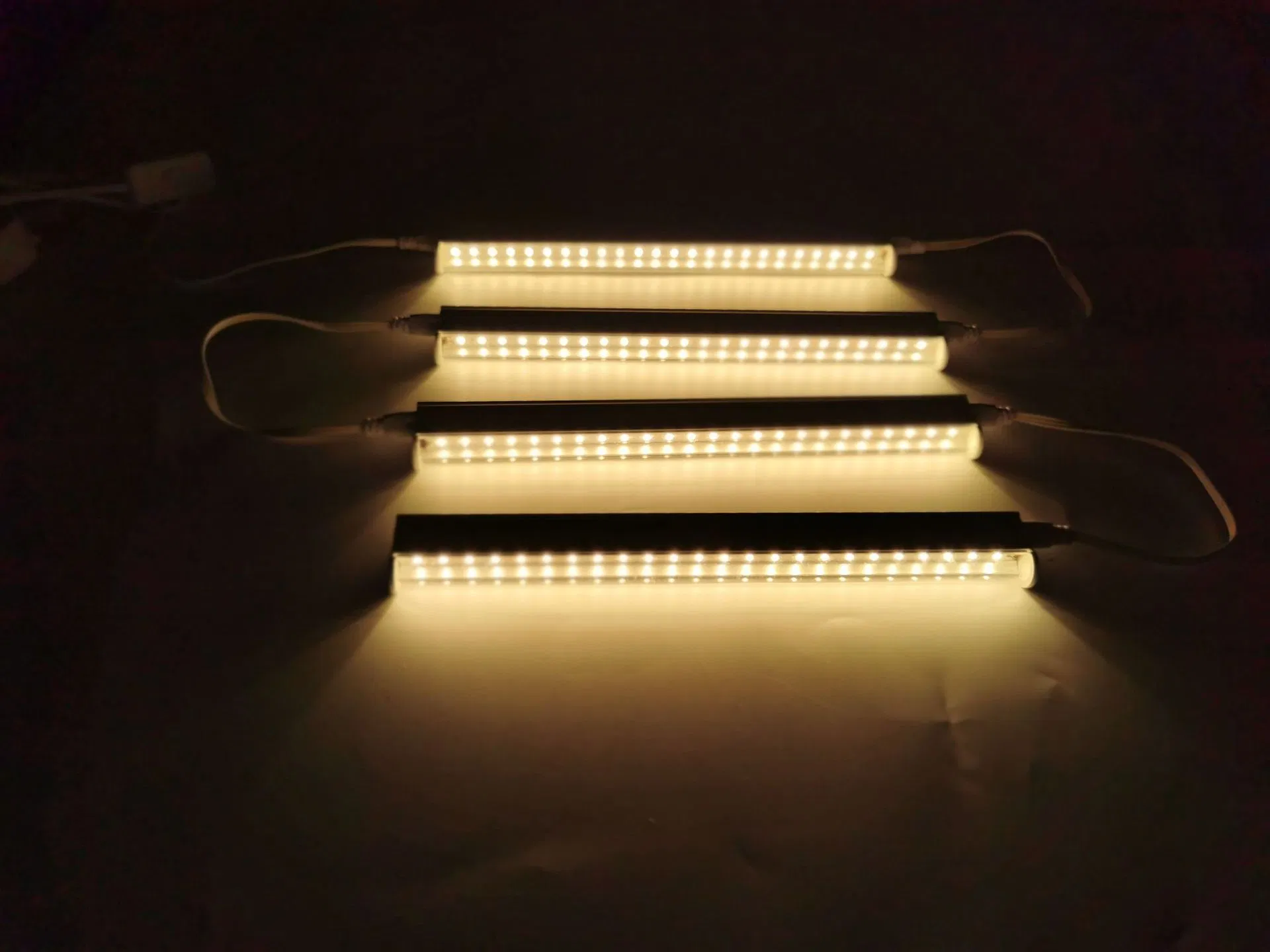 T5 T8 Lâmpada de Cultivo de Plantas Suculentas e Vegetais com LED Integrado