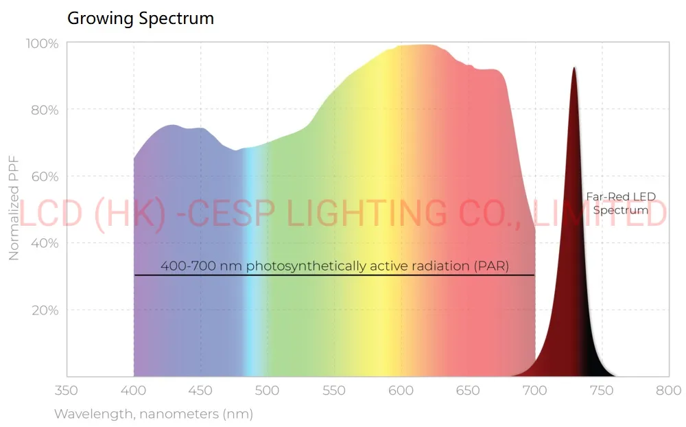 Espectro de crescimento