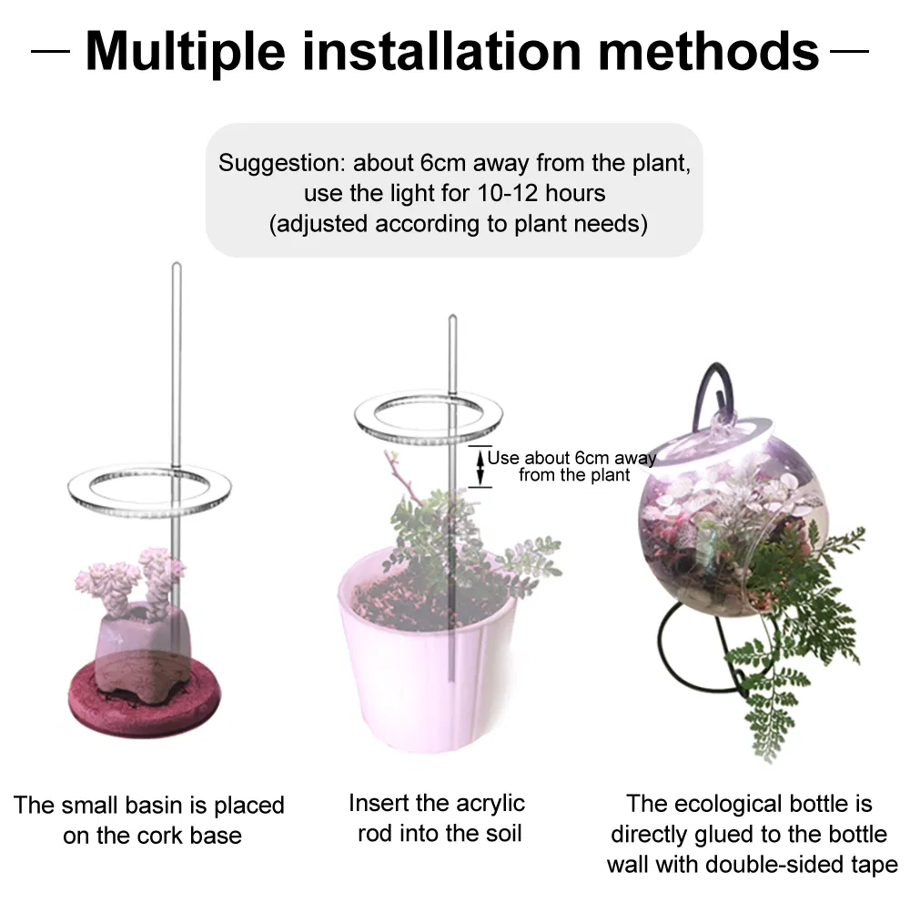 Efeito nas Plantas